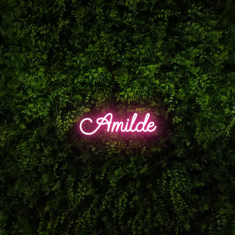 Amilde – Neon Sign