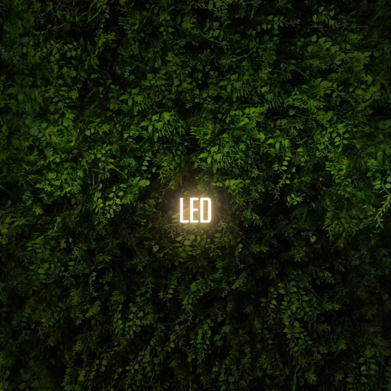 LED – Neon Sign