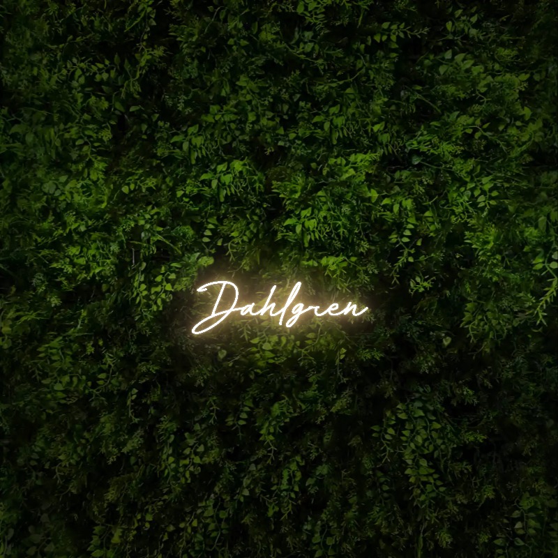 Dahlgren – Neon Sign