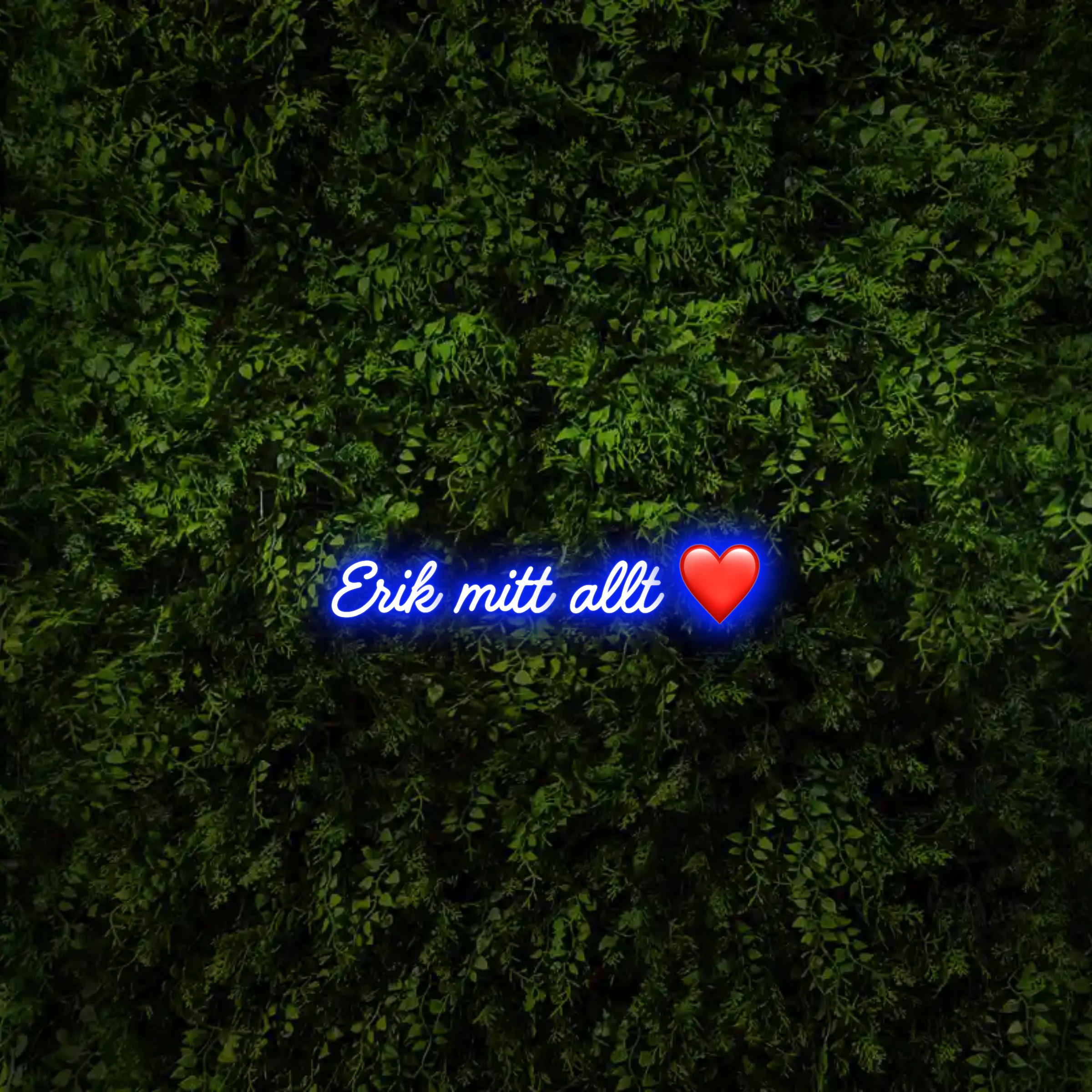 Erik mitt allt ❤️ – Neon Sign
