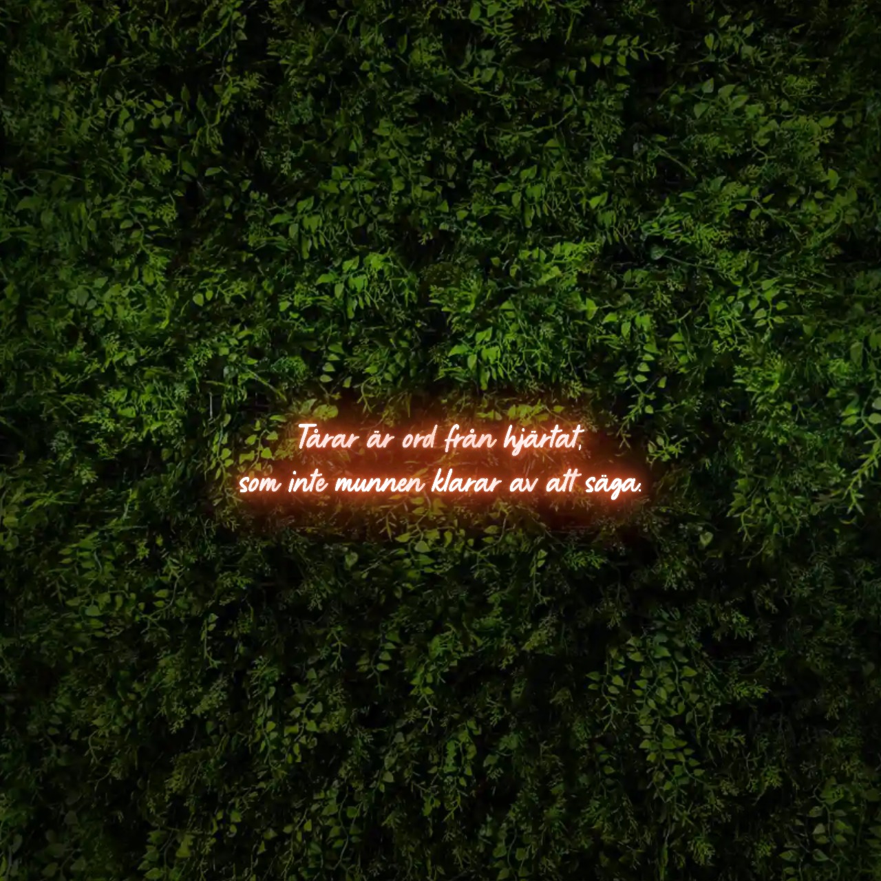 Tårar är ord från hjärtat,
som inte munnen klarar av att säga. – Neon Sign