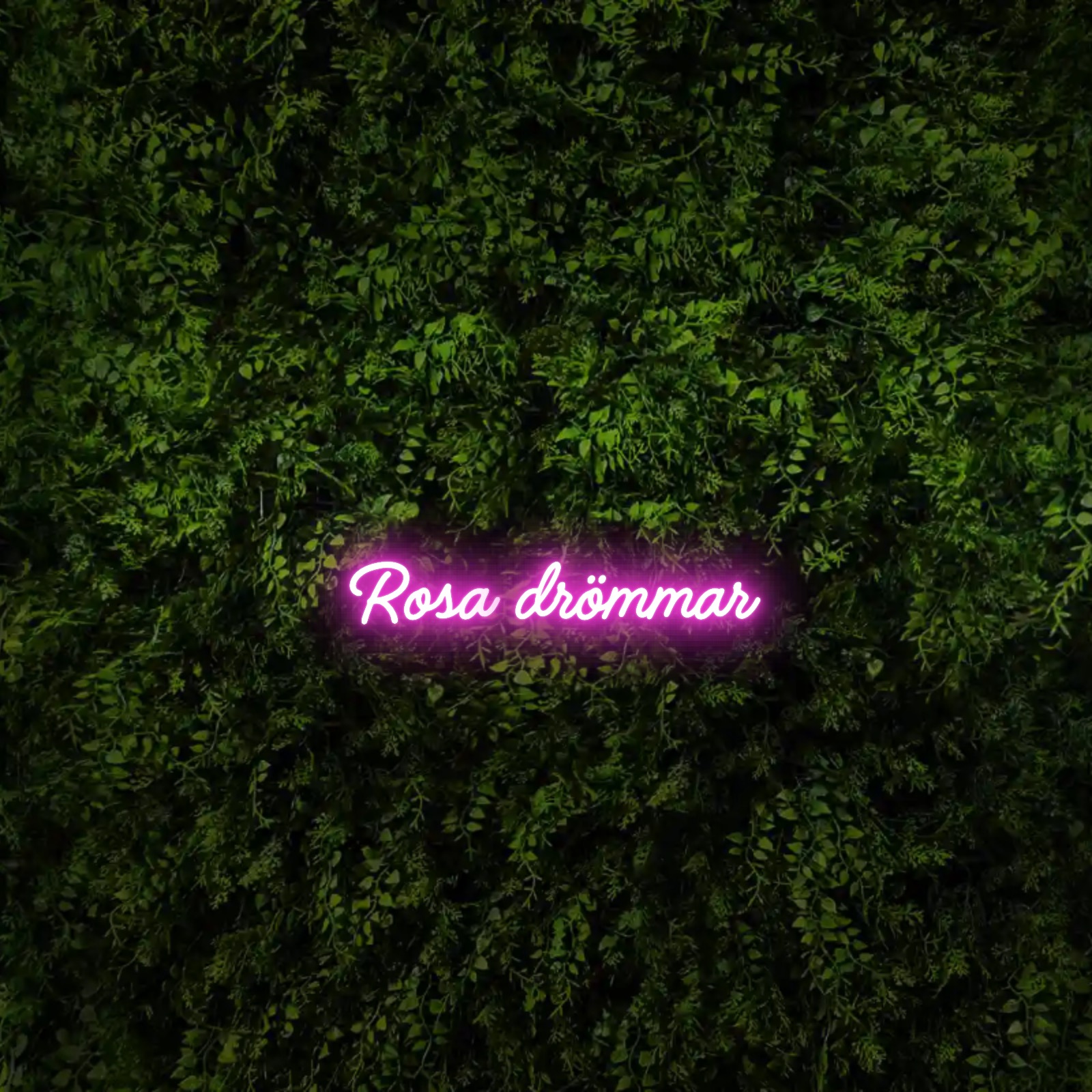 Rosa drömmar – Neon Sign