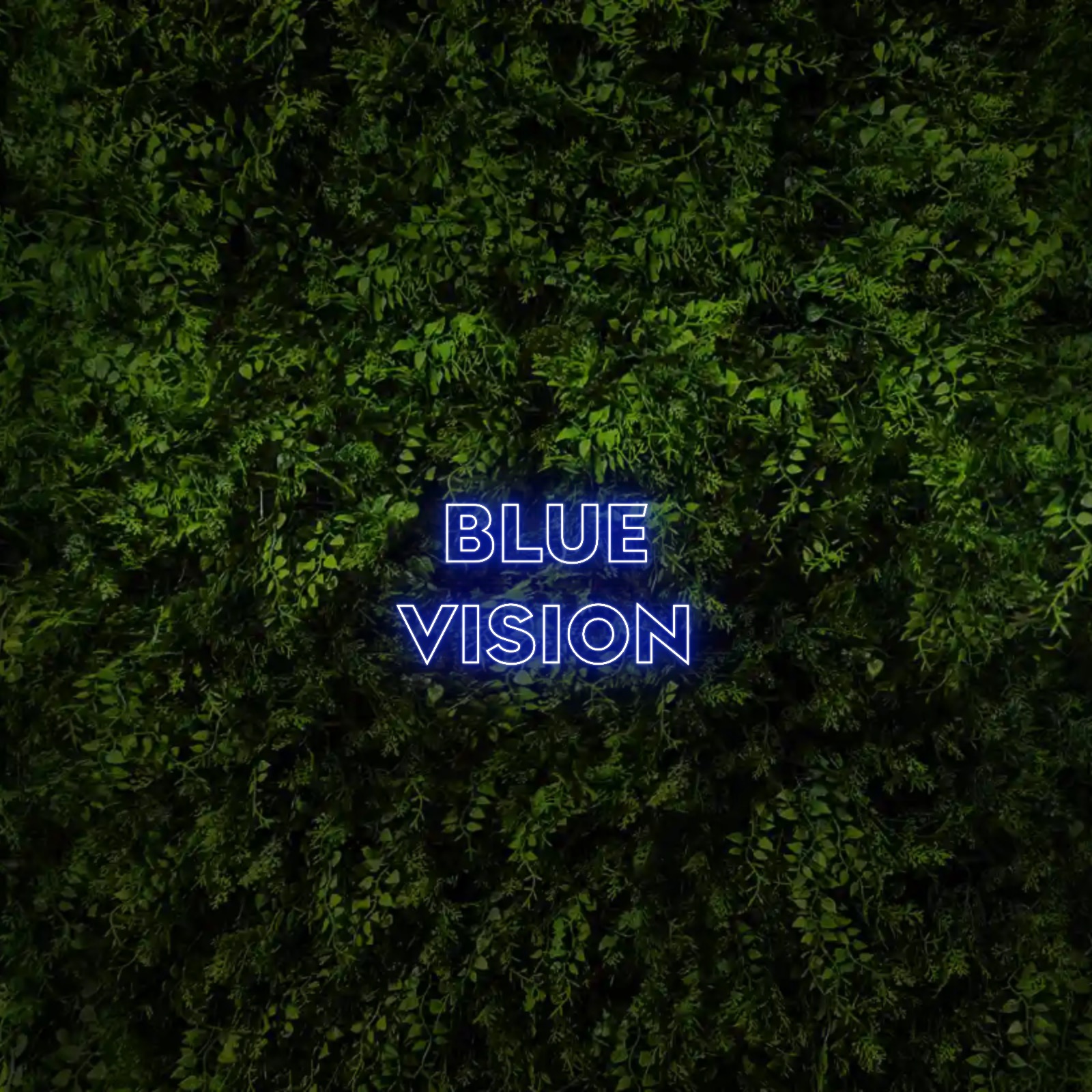 BLUE 
VISION – Neon Sign
