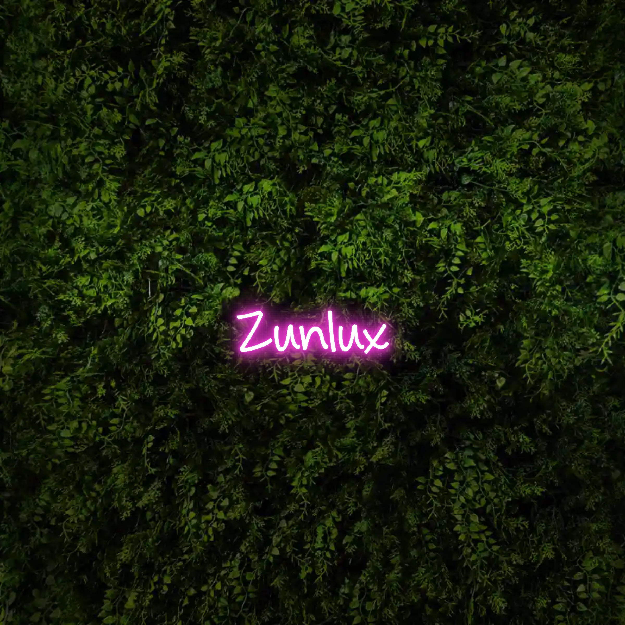 Zunlux – Neon Sign