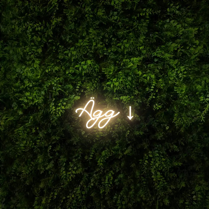 Ägg ↓ – Neon Sign