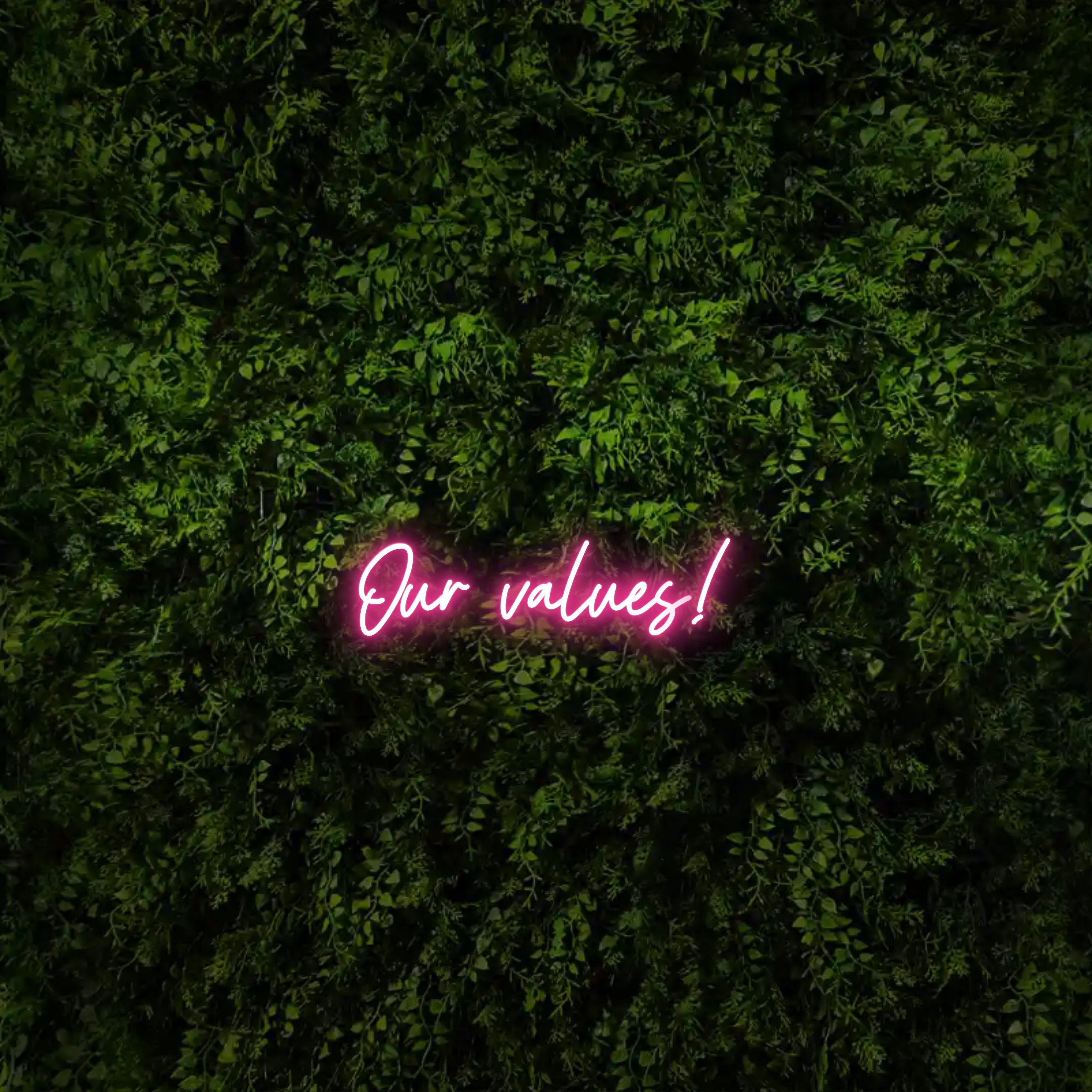 Our values! – Neon Sign