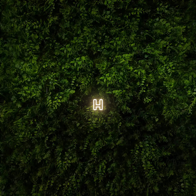 h – Neon Sign