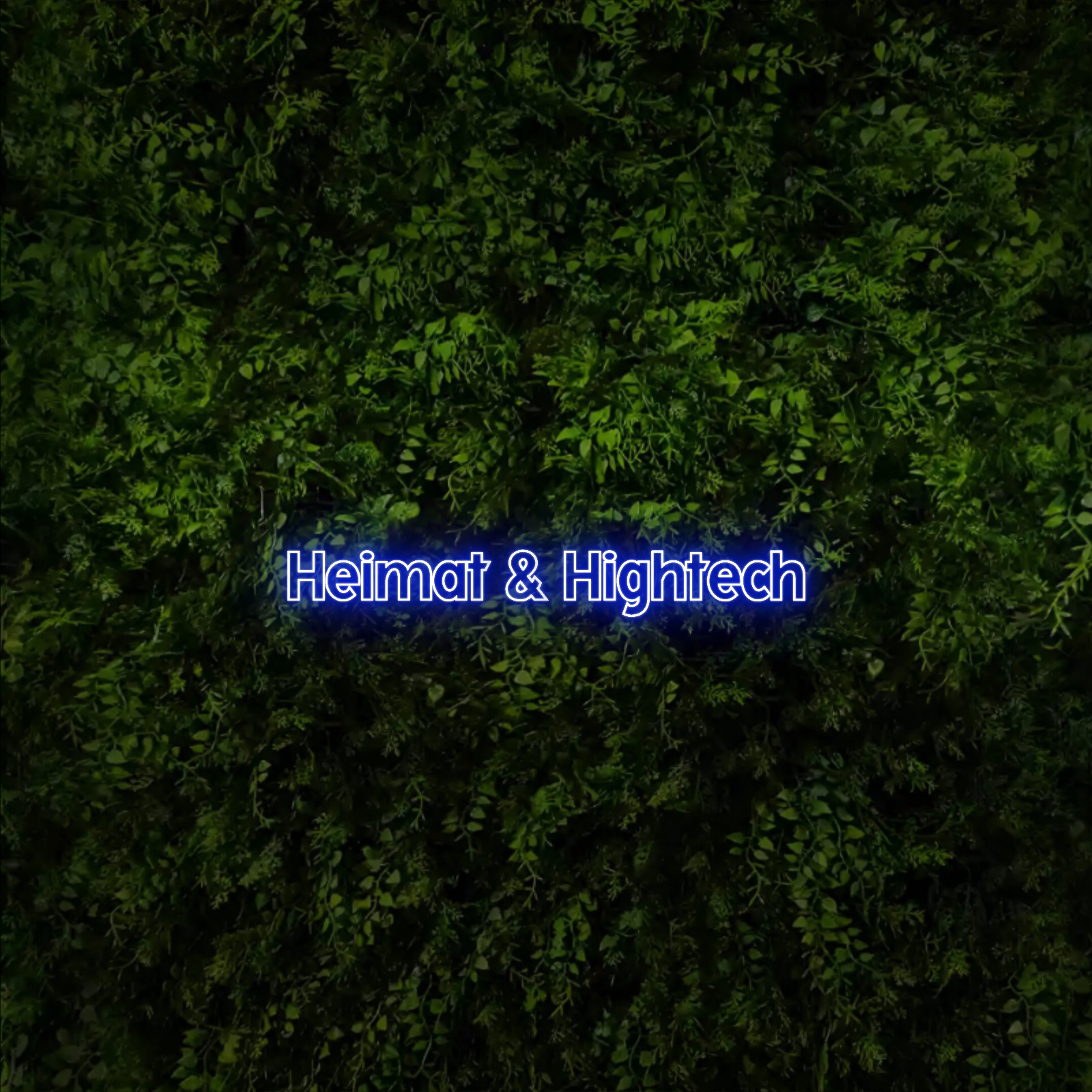 Heimat & Hightech
 – Neon Sign